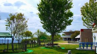 動物と触れ合う事が出来る施設