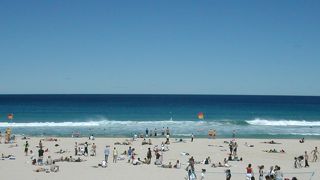 シドニーの北に位置するサーファーにも人気のビーチ