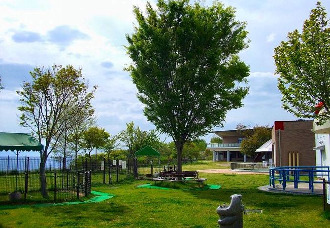 動物と触れ合う事が出来る施設