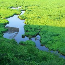 展望台からの眺め