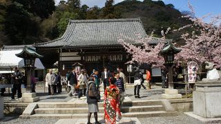 「十三まいり」の寺