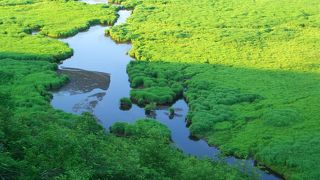 展望台には無料の双眼鏡もあります