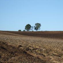 周囲に木がないのですぐに分かります。