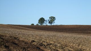 必ず訪れる撮影ポイント