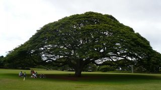 一度は行きたい！