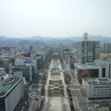 市内が一望できます。