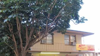 パイナップルは一番！