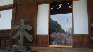 住宅地が直ぐ近くにあるとは思えないこんもりとした森の雰囲気がいい