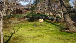 庭は綺麗だったですが