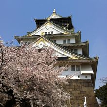 大阪城と桜