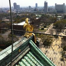 天守閣から眺めた先にしゃちほこが