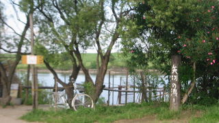 幽明遥けく隔つとも僕の心は一日も民子の上を去らぬ