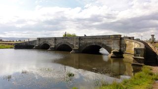 静かにどっしりと佇んでいます。