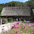 国指定重要文化財 和田家(白川郷)