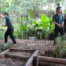 オランウータンVS人