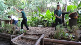 ローカル臭満喫