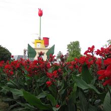 きれいな公園です