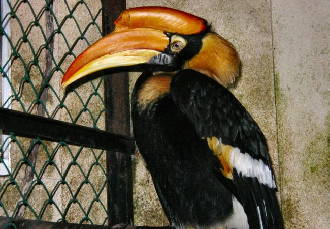 草津熱帯圏 クチコミ アクセス 営業時間 草津温泉 フォートラベル 草津熱帯圏 クチコミ アクセス 営業時間 草津温泉 フォートラベル