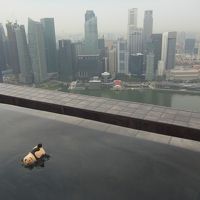 屋上プールと摩天楼とパンダ