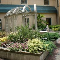 中庭にあるガーデン