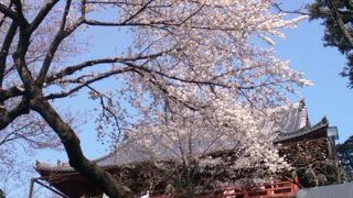 上野と言えば寛永寺