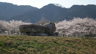 桜の季節がお勧め