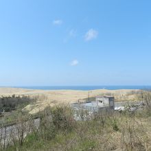 展望台からは鳥取砂丘も見えます