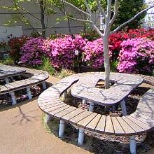 パークスガーデンのはらっぱ広場にて