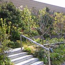 パークスガーデン緑にあふれています