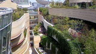 なんばパークスにある屋上庭園パークスガーデンで、ほっこり♪