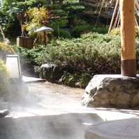 足湯と日本庭園。このあと突然雪が降って綺麗でした。