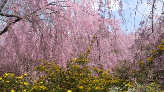 すごい！その一言だけ。