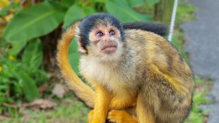 日本最南端、最西端のテーマパーク