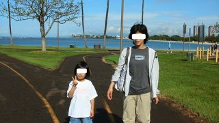 緑が美しい公園。