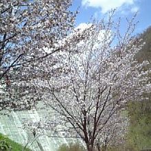 後ろは定山渓ダム