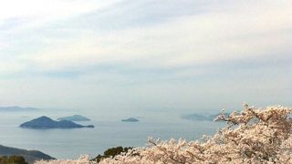 満開の花見越しの瀬戸内海！