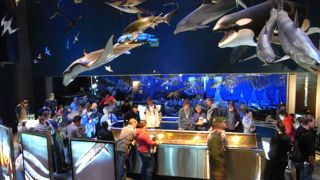 家族で楽しめます