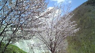 ただで入れる。