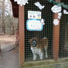 富士すばるランド