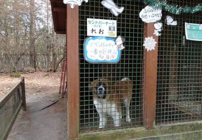 富士すばるランド