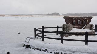 極寒の地といった感じ