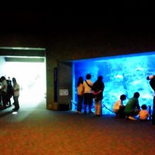 大分マリーンパレス水族館「うみたまご」