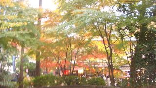 ゲゲゲの町調布の癒しスポット