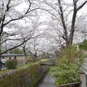 京大哲学科教授の故・西田幾多郎が散策した道