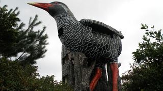 妙にリアルなヤンバルクイナ