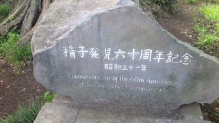 イチョウの精子発見の地、というと微妙な気持ちになるかもしれませんが、植物園としては面白くかつ広いです。