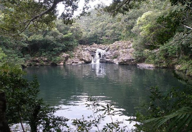 タナガーグムイ クチコミ アクセス 営業時間 国頭 大宜味 フォートラベル タナガーグムイ クチコミ アクセス 営業時間 国頭 大宜味 フォートラベル