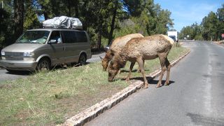 陳腐な表現ですが、絶景です