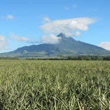 正面の山はマウントマトゥトゥン高さ約1100m。