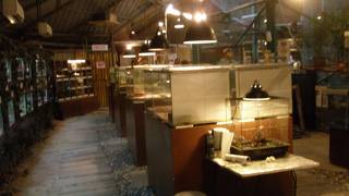 動物園は刺激大